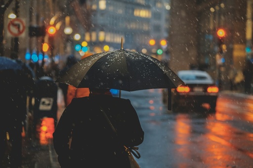 Test de Persona Bajo La Lluvia